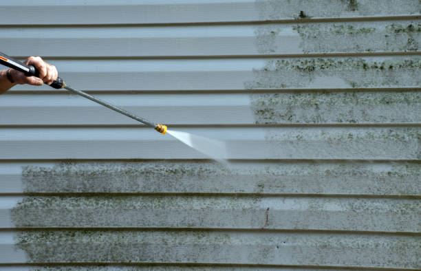 Best Affordable Pressure Washing  in Sunflower, MS